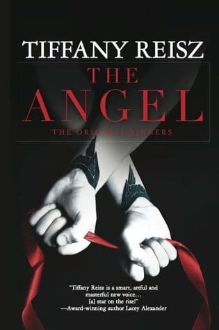 The Angel book cover