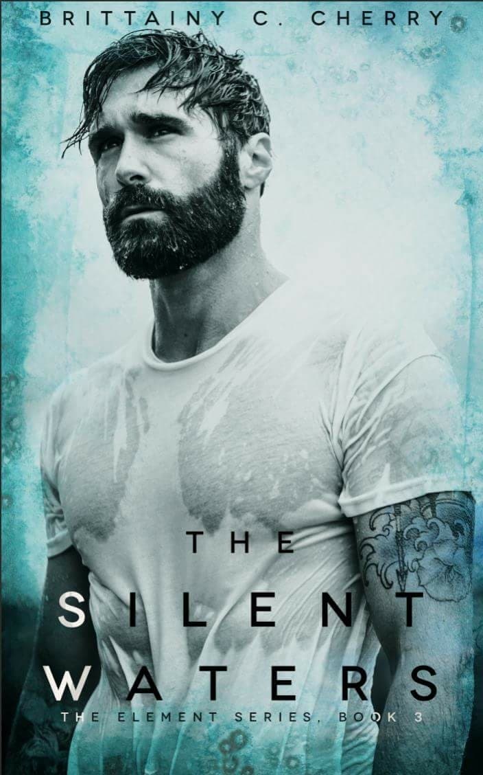 The Silent Waters book cover