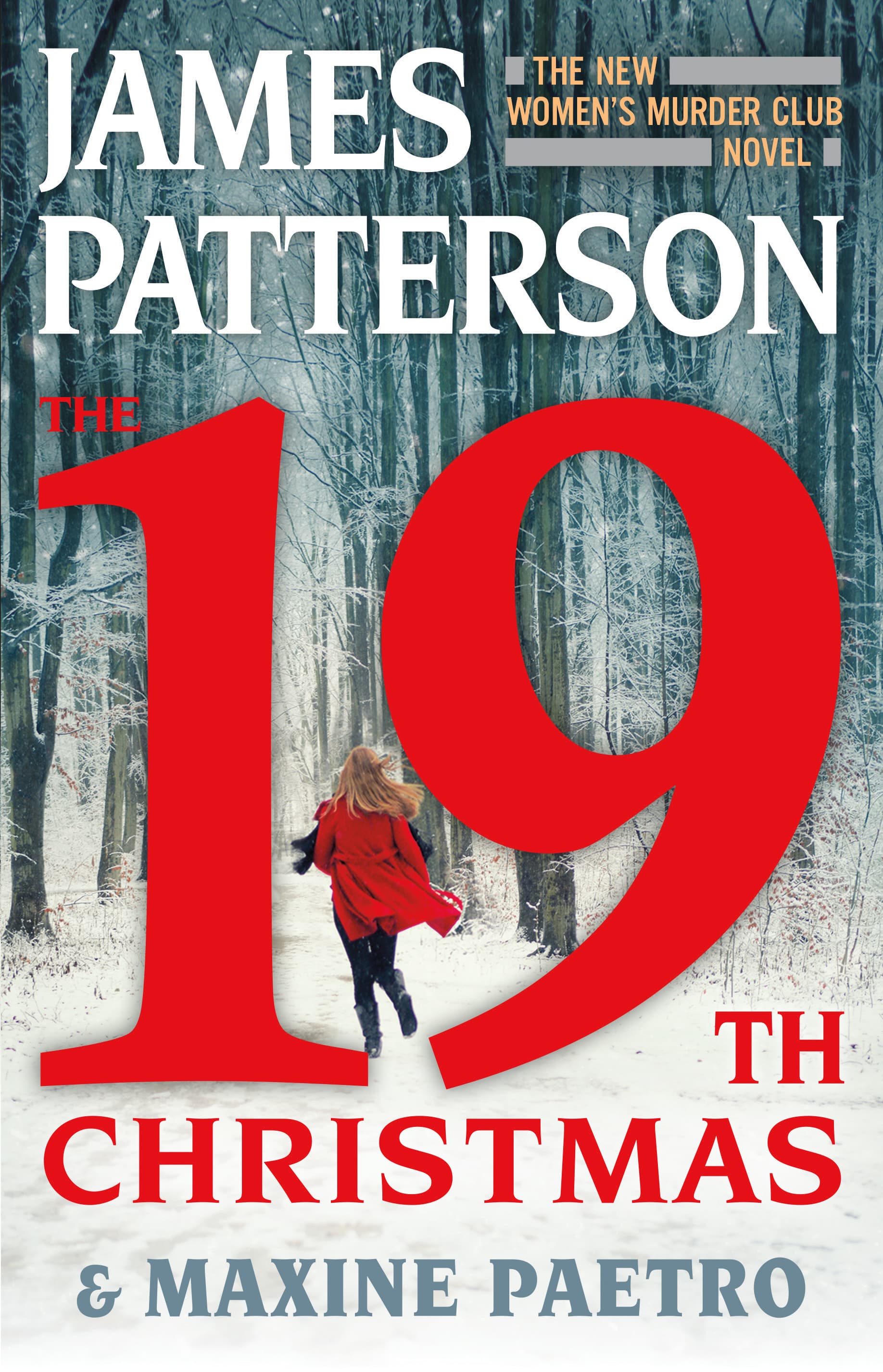 The 19th Christmas book cover