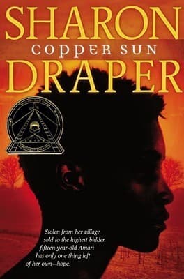 Copper Sun book cover