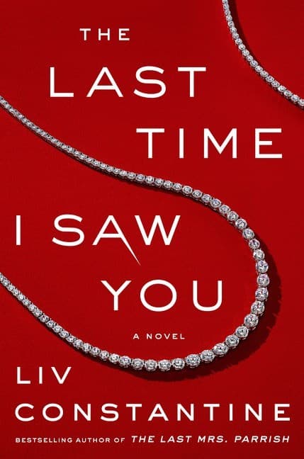 The Last Time I Saw You book cover