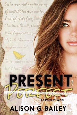 Present Perfect book cover