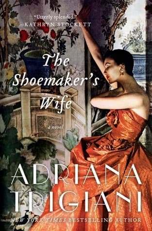 The Shoemaker's Wife book cover