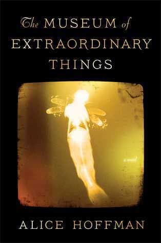 The Museum of Extraordinary Things book cover