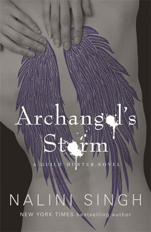 Archangel's Storm book cover