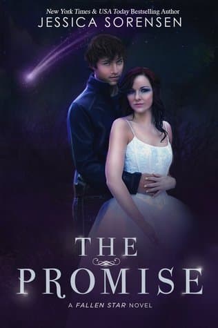 The Promise book cover