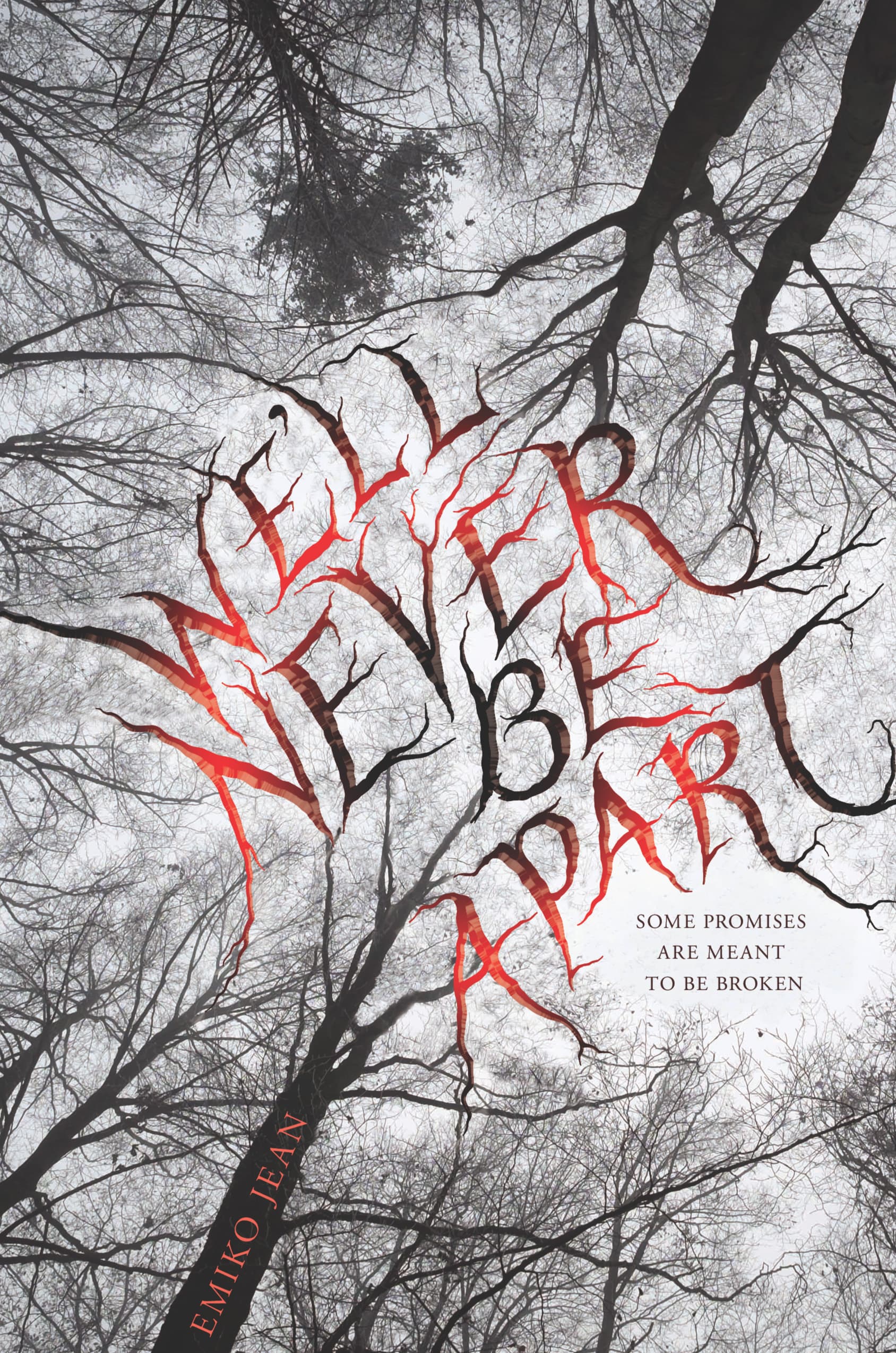 We'll Never Be Apart book cover