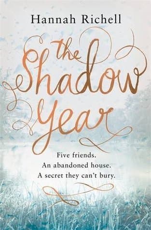 The Shadow Year book cover