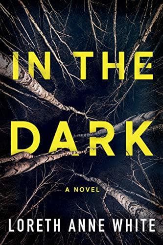 In the Dark book cover