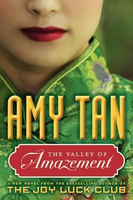 The Valley of Amazement book cover
