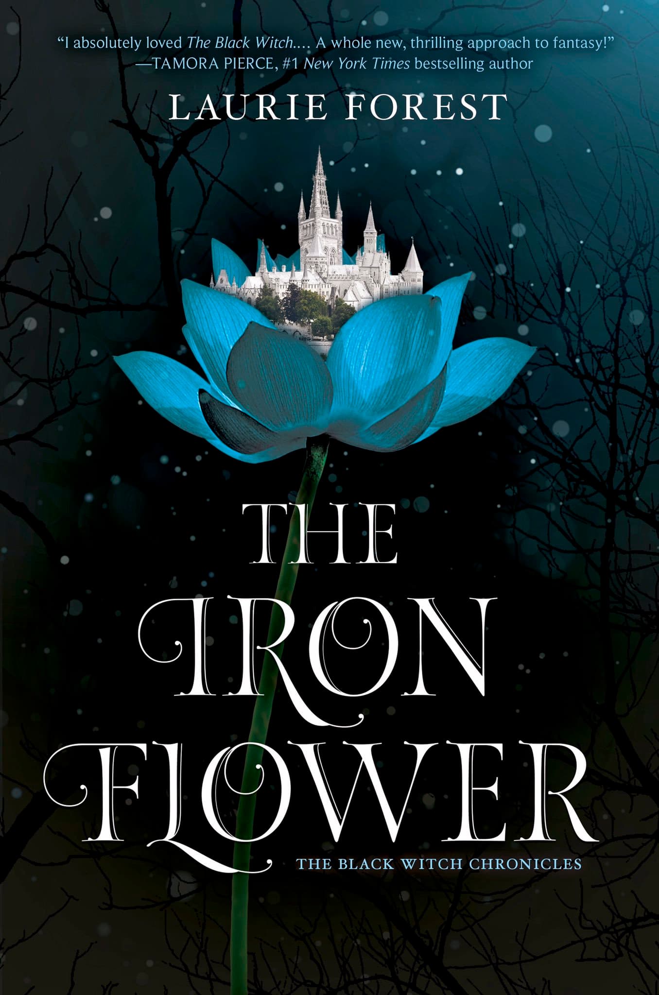 The Iron Flower book cover