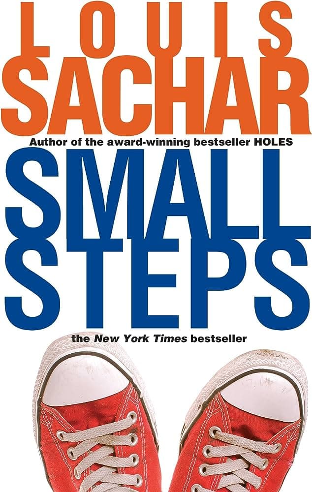 Small Steps book cover