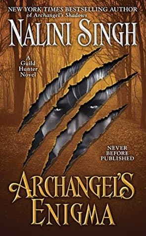 Archangel's Enigma book cover