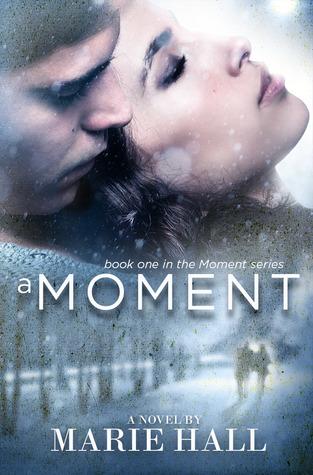 A Moment book cover