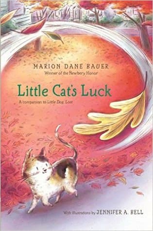 Little Cat's Luck book cover