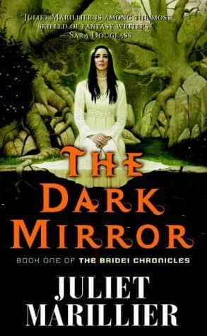 The Dark Mirror book cover
