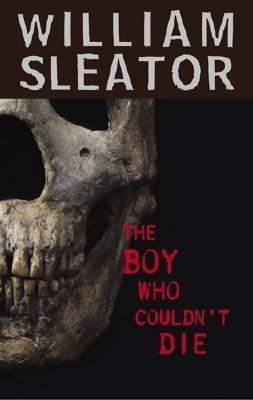 The Boy Who Couldn't Die book cover