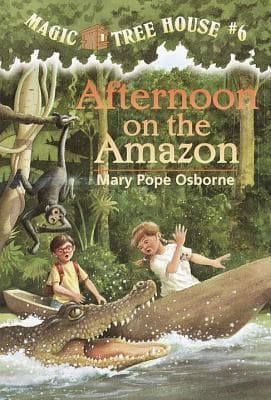 Afternoon on the Amazon book cover