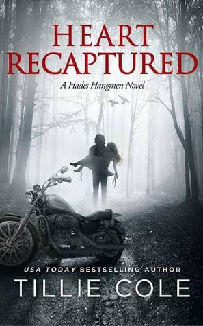 Series Book Cover Preview