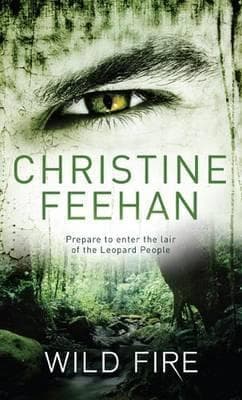 Wild Fire book cover