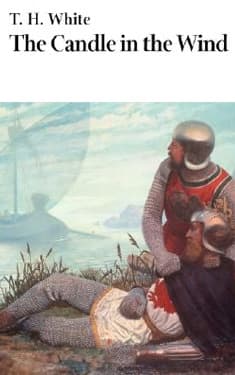 The Candle in the Wind book cover