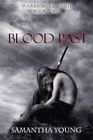 Blood Past book cover