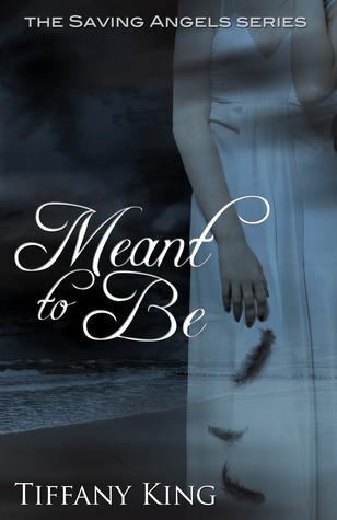 Meant to Be book cover