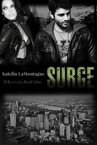 Surge book cover