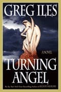 Turning Angel book cover