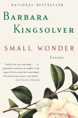 Small Wonder book cover