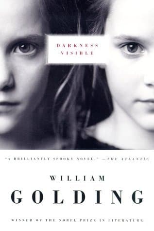 Darkness Visible book cover