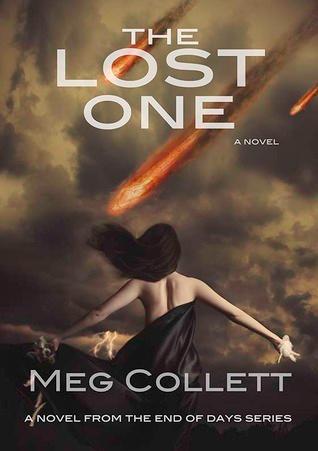 The Lost One book cover