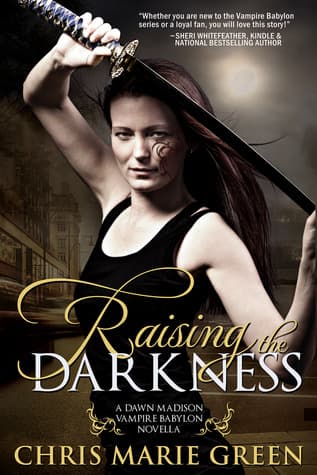 Raising the Darkness book cover