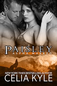 Paisley book cover