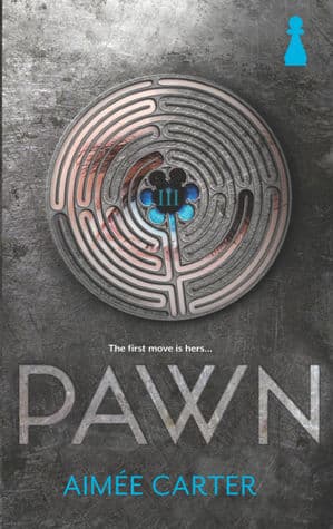 Pawn book cover