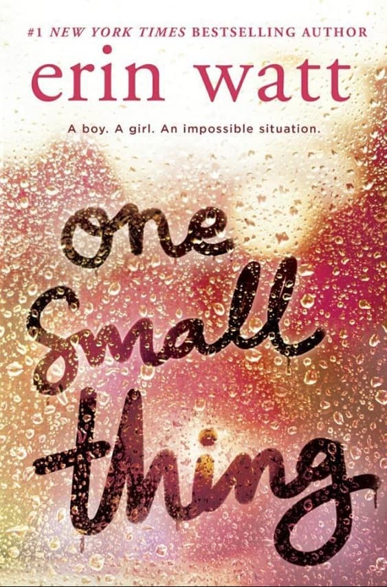 One Small Thing book cover