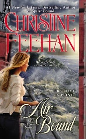Air Bound book cover