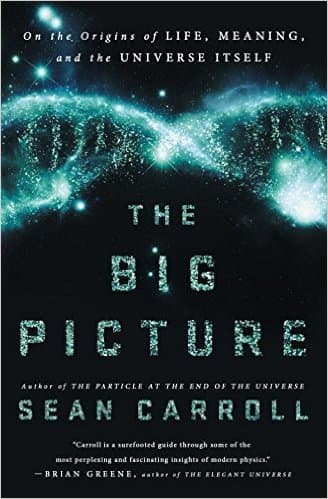 The Big Picture: On the Origins of Life, Meaning, and the Universe Itself book cover