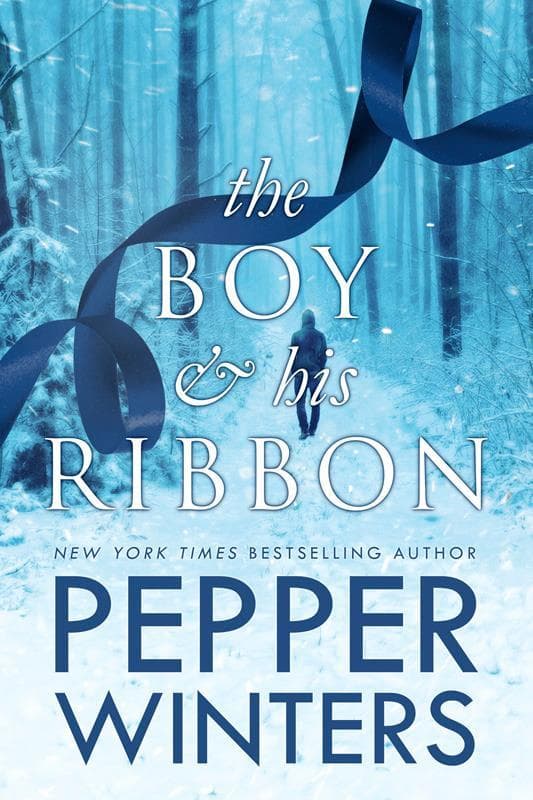 The Boy & His Ribbon book cover