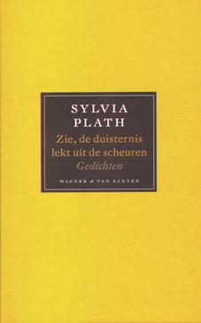 Zie, de duisternis lekt uit de scheuren. Gedichten book cover