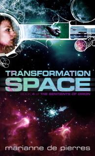 Transformation Space book cover