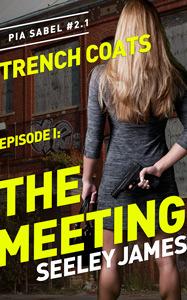 The Meeting book cover