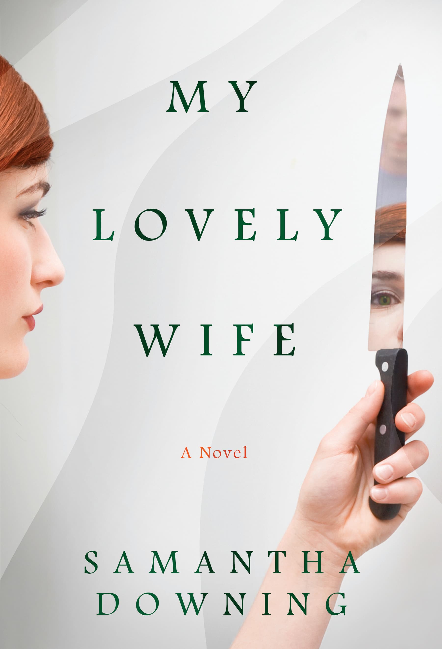My Lovely Wife book cover