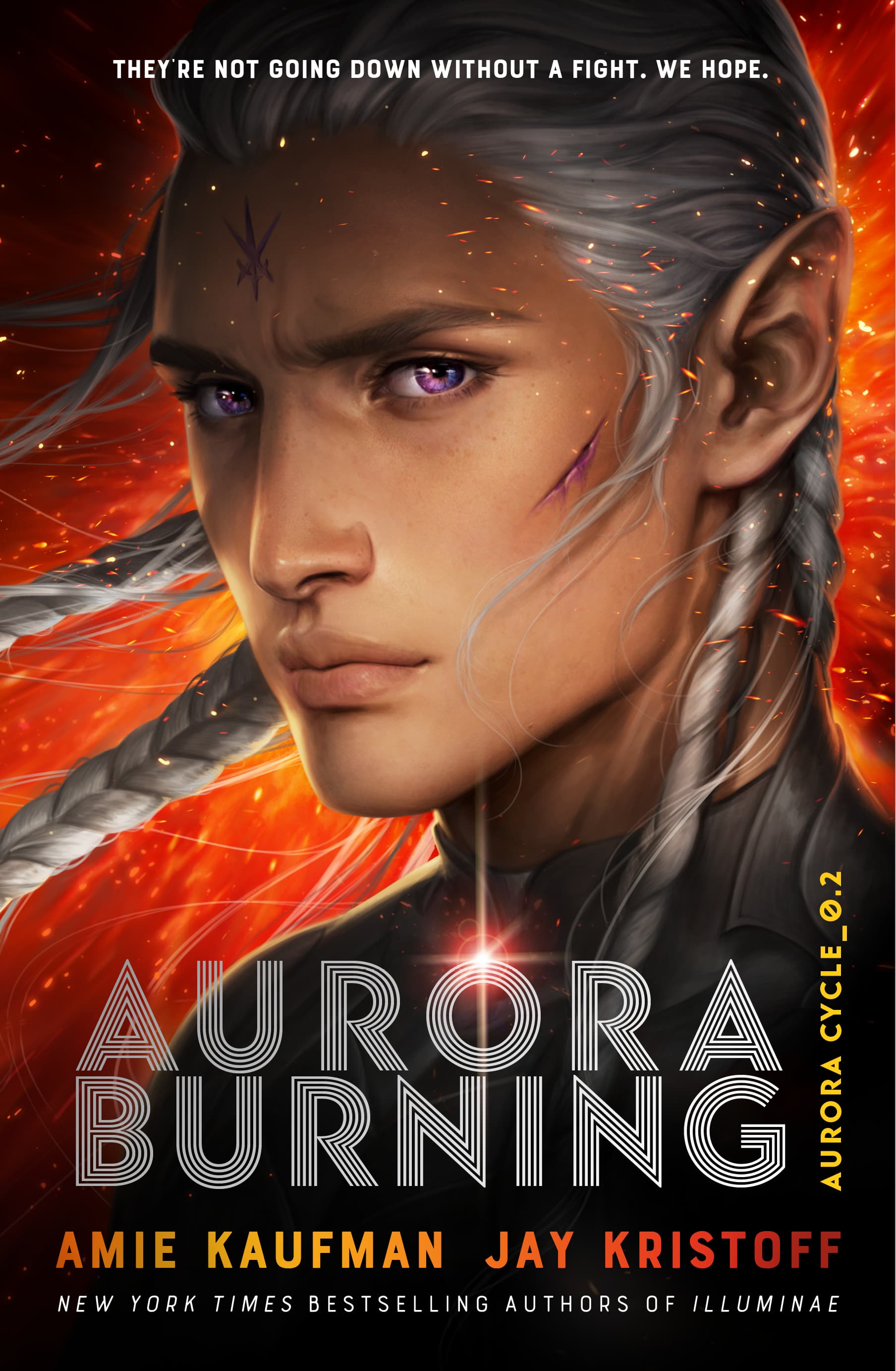Aurora Burning book cover