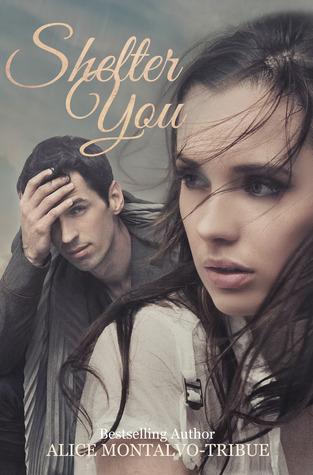 Shelter You book cover