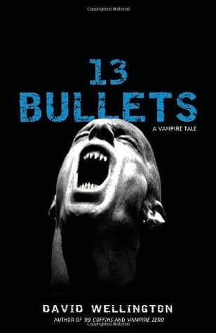 13 Bullets book cover