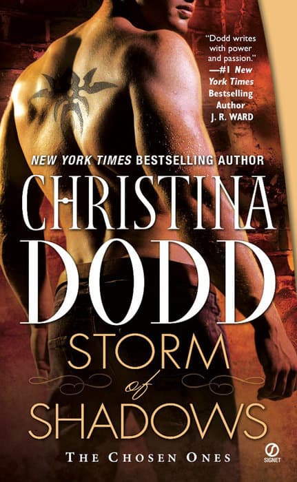 Storm of Shadows book cover