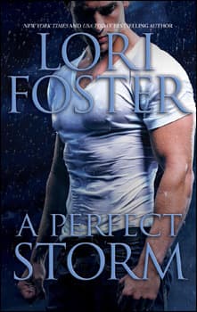 A Perfect Storm book cover