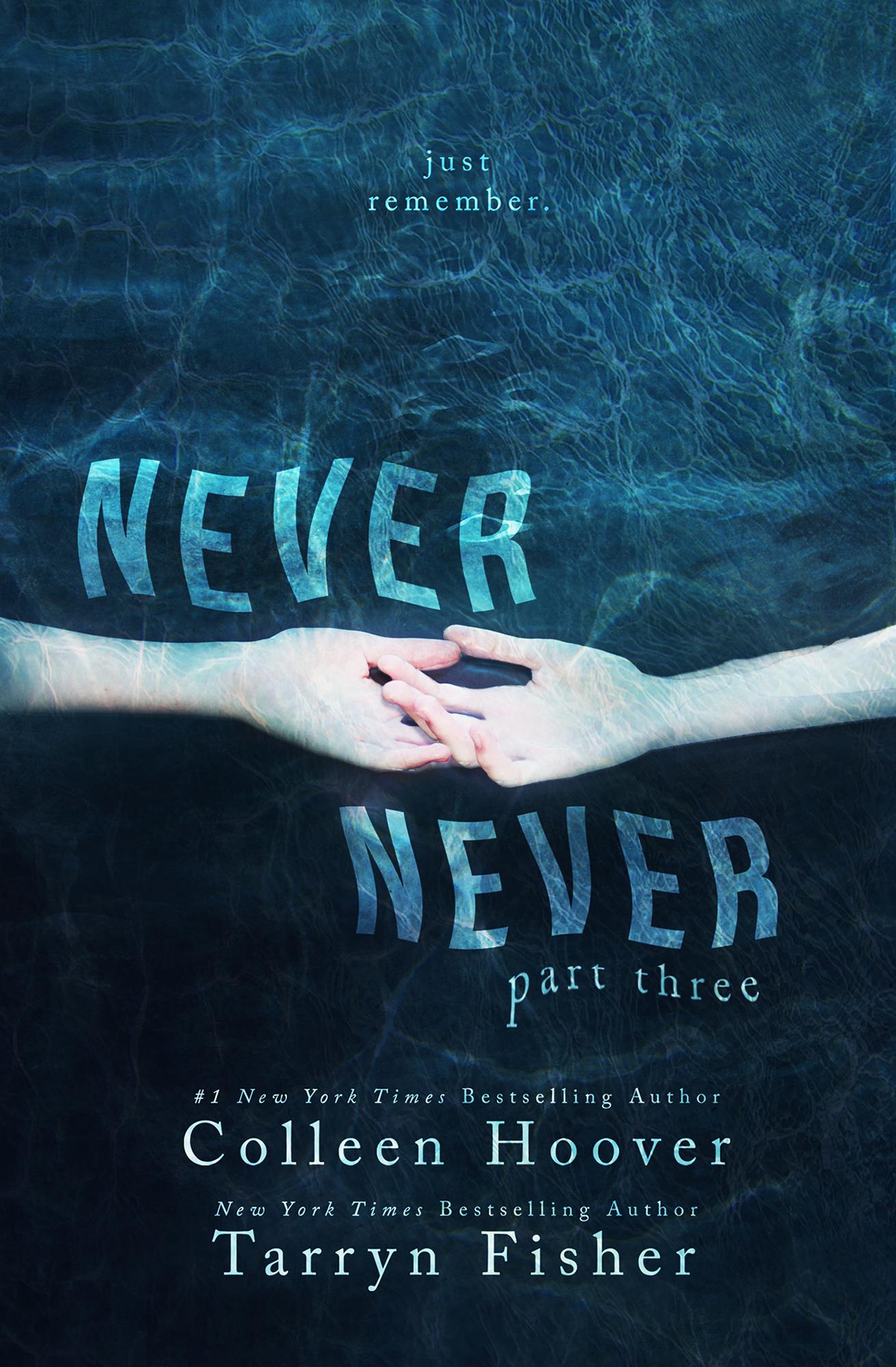 Never Never: Part Three book cover