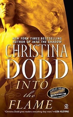 Into the Flame book cover